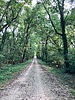 photo thumbnail #13