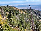 photo thumbnail #4
