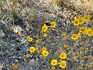 photo thumbnail #15