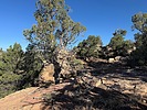 photo thumbnail #2