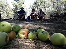 photo thumbnail #9
