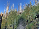 photo thumbnail #4