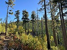 photo thumbnail #5