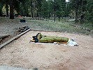 photo thumbnail #1