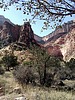 photo thumbnail #13