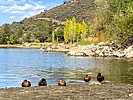 photo thumbnail #2