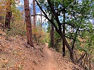 photo thumbnail #9