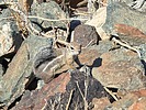 photo thumbnail #2