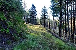 photo thumbnail #6
