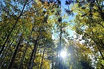 photo thumbnail #10