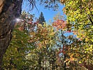 photo thumbnail #8