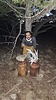 photo thumbnail #3