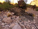 photo thumbnail #8
