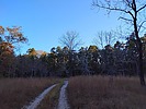 photo thumbnail #14