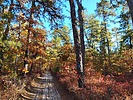 photo thumbnail #9