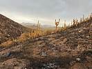 photo thumbnail #11