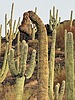 photo thumbnail #14