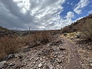 photo thumbnail #1