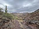 photo thumbnail #5