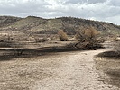 photo thumbnail #14