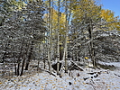 photo thumbnail #4