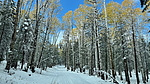 photo thumbnail #13