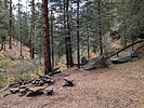 photo thumbnail #3