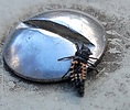 photo thumbnail #4