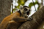 photo thumbnail #15