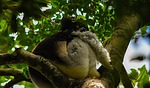 photo thumbnail #14