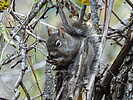 photo thumbnail #14