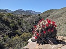 photo thumbnail #5