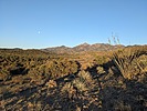 photo thumbnail #1