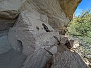 photo thumbnail #14