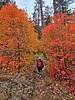 photo thumbnail #4