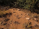 photo thumbnail #15