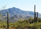 photo thumbnail #8