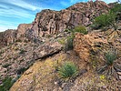 photo thumbnail #11