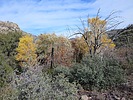 photo thumbnail #1
