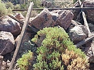 photo thumbnail #12