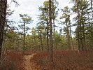 photo thumbnail #8