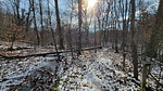 photo thumbnail #4