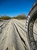 photo thumbnail #2