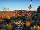 photo thumbnail #1