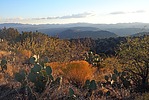 photo thumbnail #3