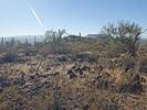 photo thumbnail #12