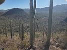 photo thumbnail #9