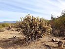 photo thumbnail #6