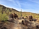 photo thumbnail #7