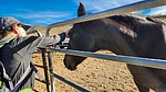 photo thumbnail #9